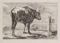 KG 07715
<br/>
Staande koe in de wei
<br/>
<em>Varelen, Jacob Elias van (1757-1840)</em>
